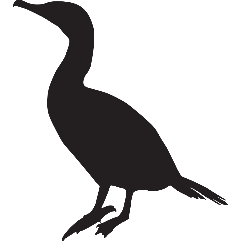 Silhouette Anhingas