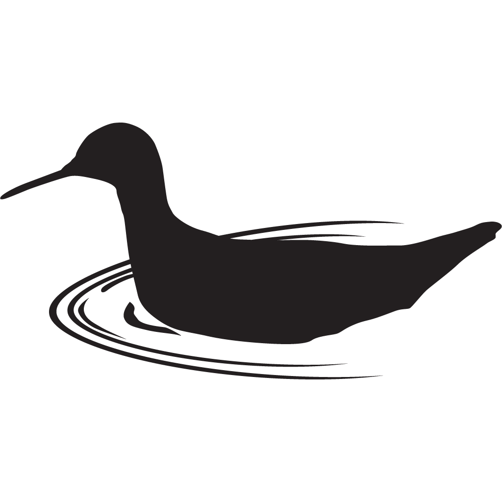 Silhouette Shorebirds