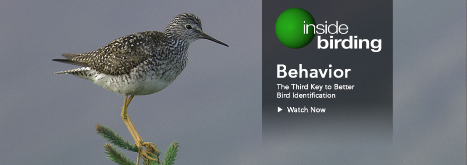 Behavior video