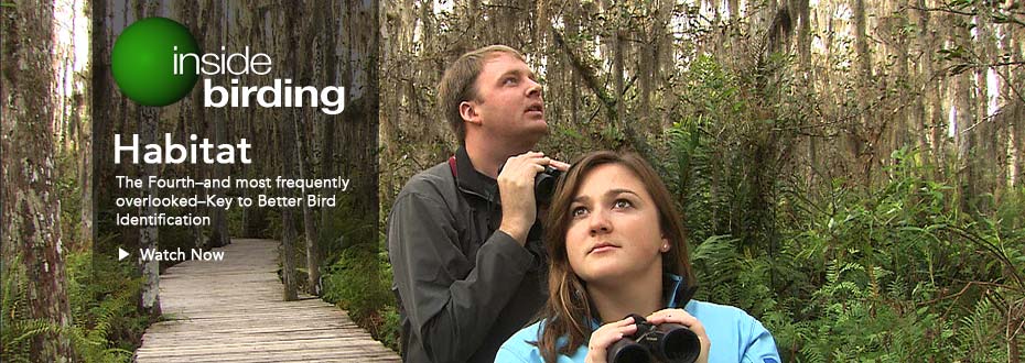 habitat video