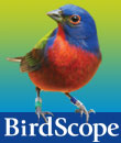 Summer 2009 Issue
