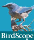 Winter 2010 Issue