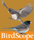 Autumn 2011 Issue