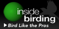 Inside Birding: A video series to help you become a better birder