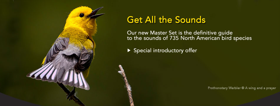 Get All the Sounds: Our new Master Set is the definitive guide to the sounds of 735 North American bird species