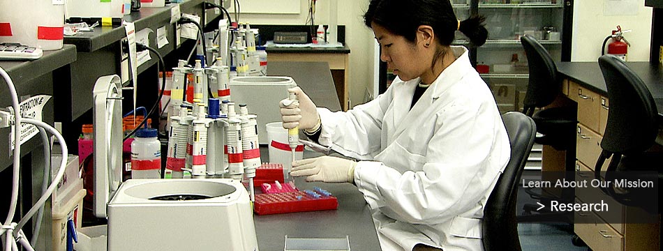 Research: Our scientists do groundbreaking work in forest, field, ocean, and laboratory.