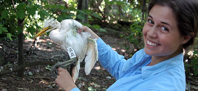 And we're constantly pushing ornithology into the future.