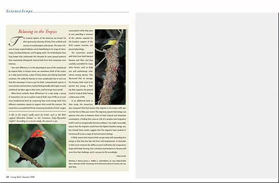 article spread
