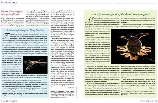 article spread