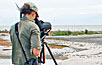 Researchers scan the mudflats for godwits