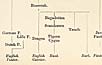 courtesy Carl A. Kroch Library, Cornell University