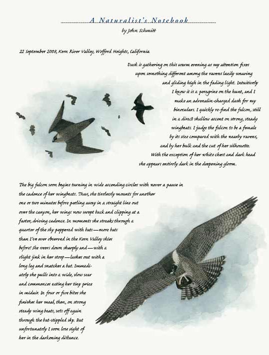 article spread