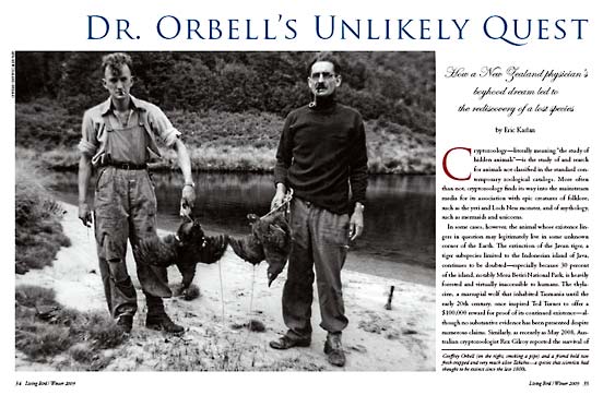 article spread