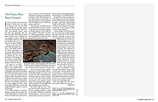 article spread