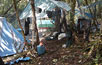 Camp in cloud forest, with tarps strung against rain