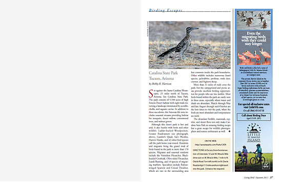 article spread