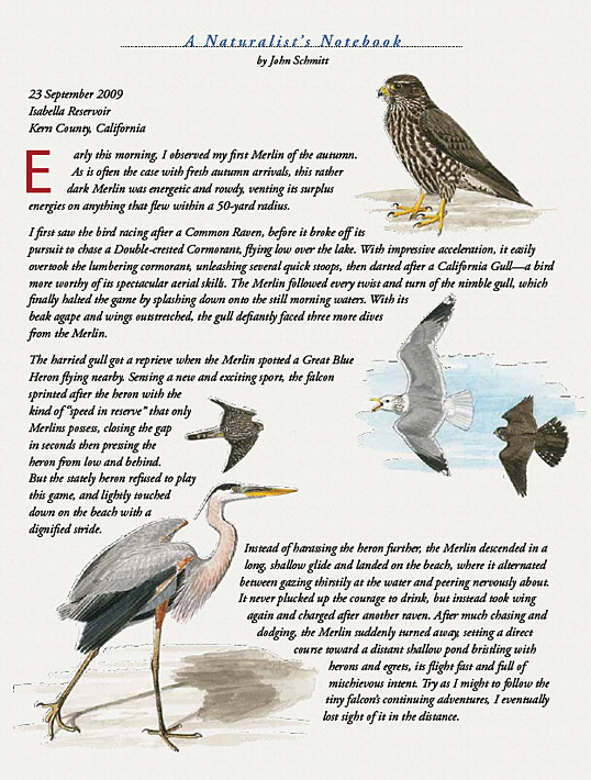 article spread