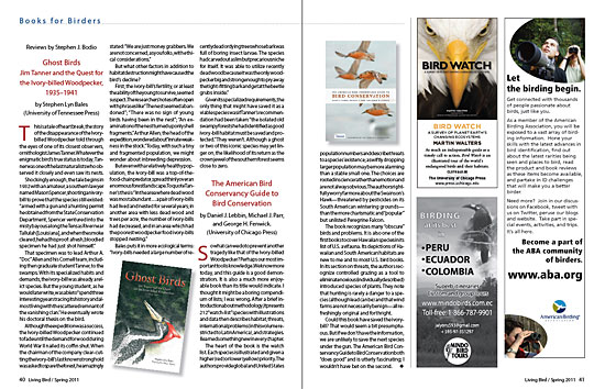 article spread