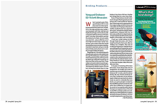 article spread