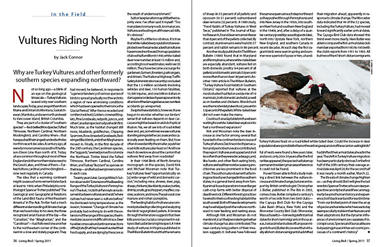 article spread