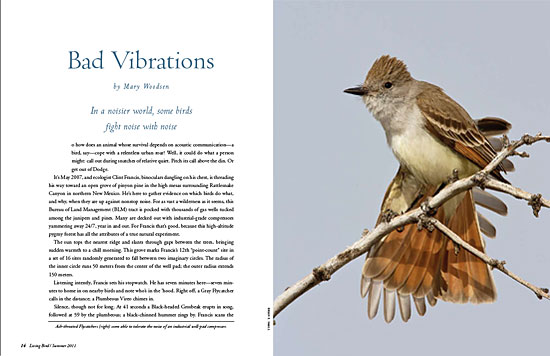 article spread
