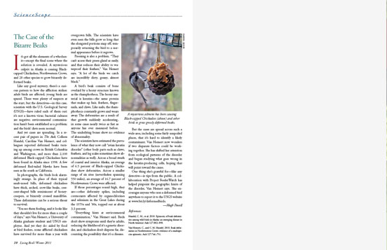 article spread