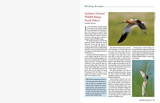article spread