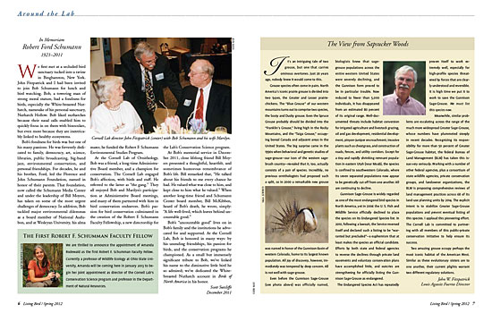 article spread