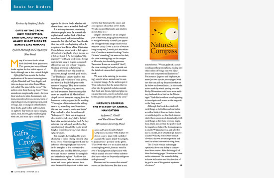 article spread