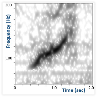 Spectrogram for right whale up-call. Quiet version.