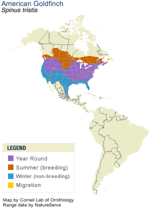 American Goldfinch Range Map