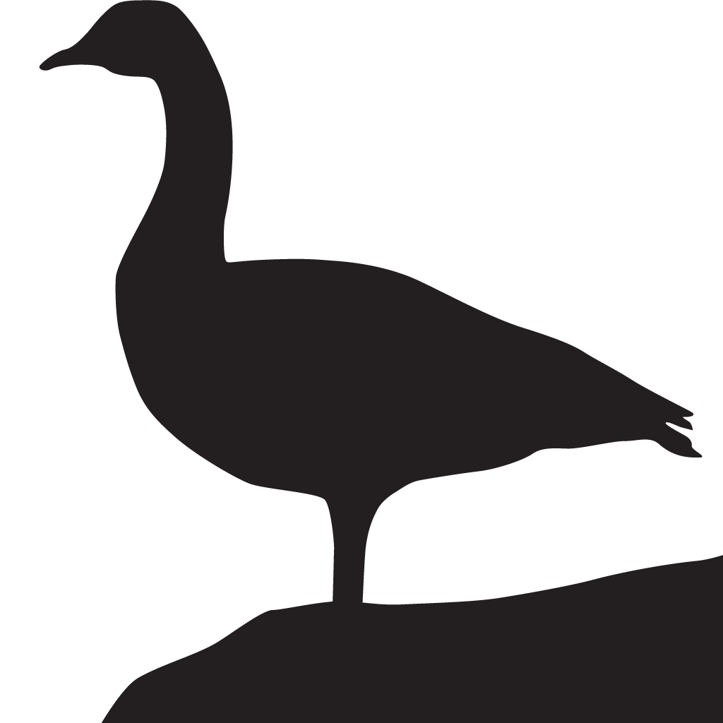 Silhouette Geese