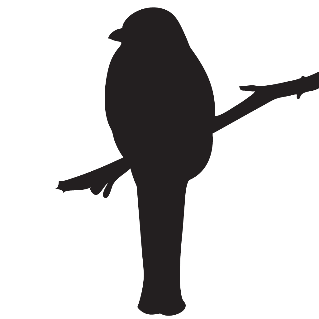 Silhouette Trogons