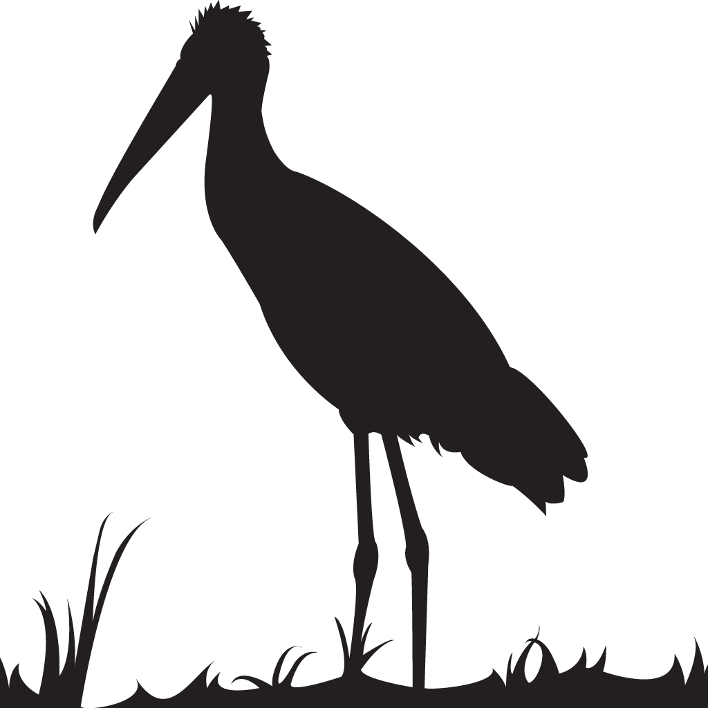 Silhouette Storks