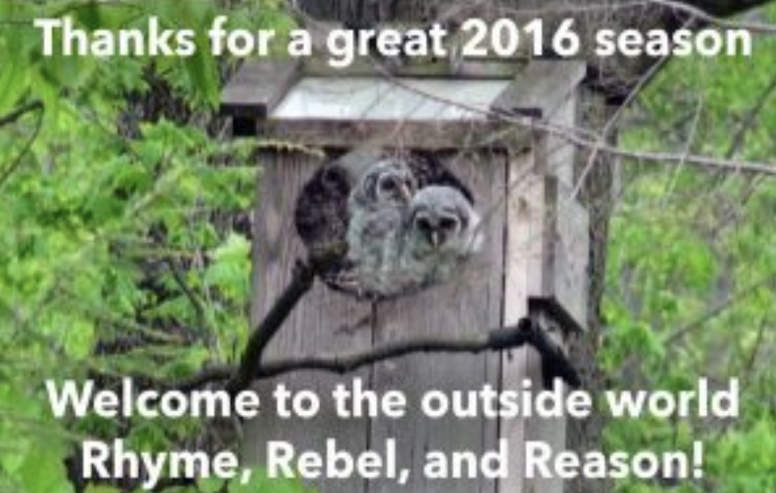 Thanks for a great 2016 season. Welcome to the outside world  Rhyme, Reason and Rebel
