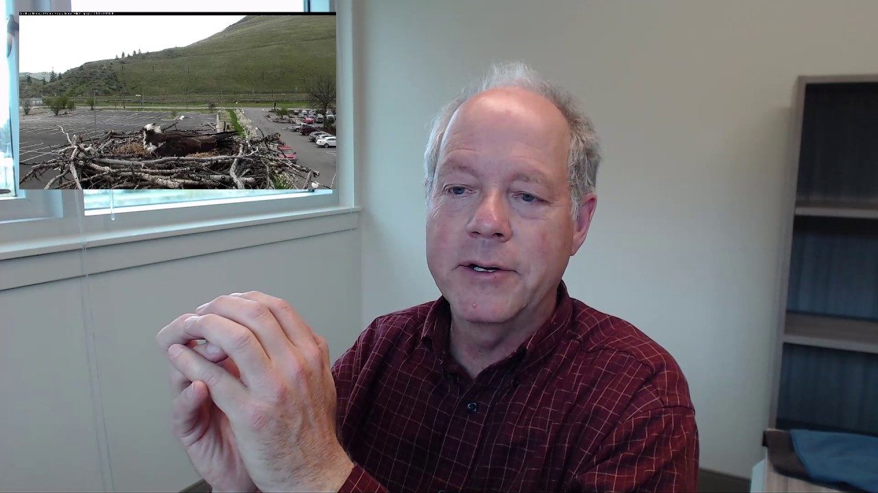 Live Q&A with Dr. Erick Greene on the Hellgate Osprey cam