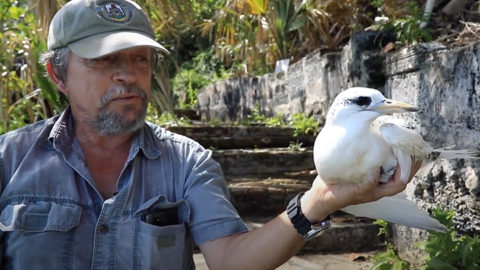 Jeremy Madeiros holding tropicbird