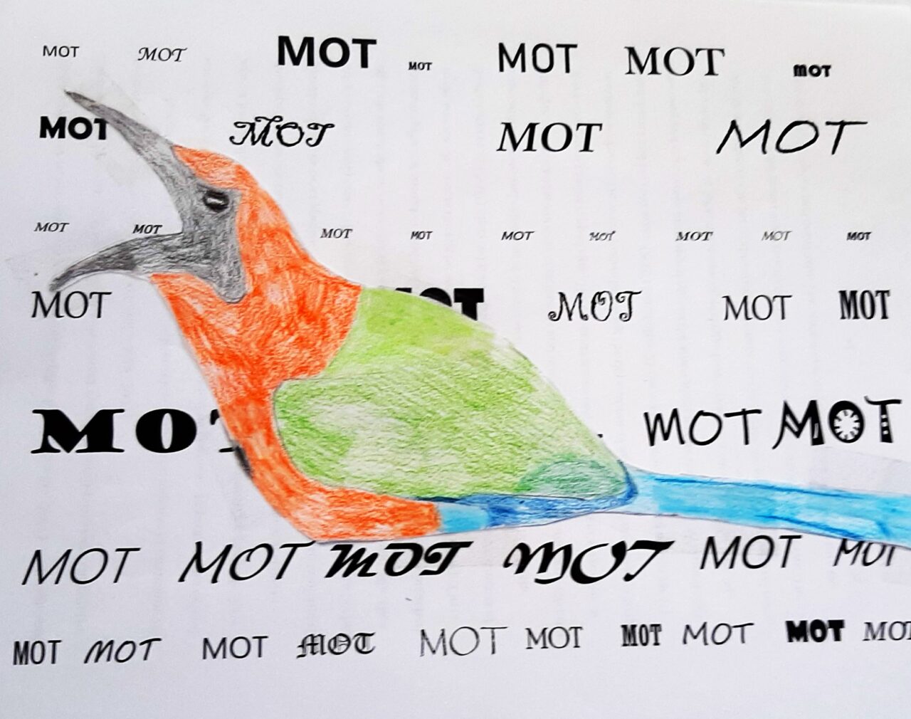 "Motmot Monotony" by Bill Tonn
