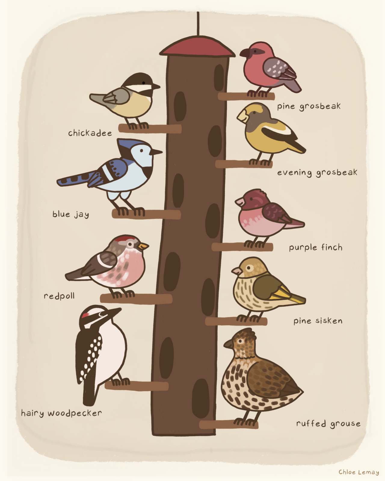 "Ontario FeederWatch Cam" by Chloe Lemay