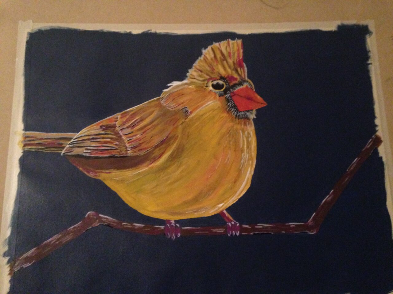 Northern Cardinal by Danielle Ayers