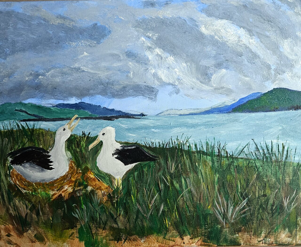 Northern Royal Albatross by Emmeline Roddy