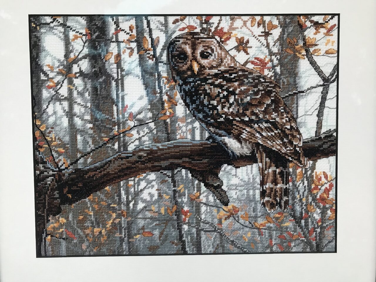 "Owls" by Fran Blacklaws