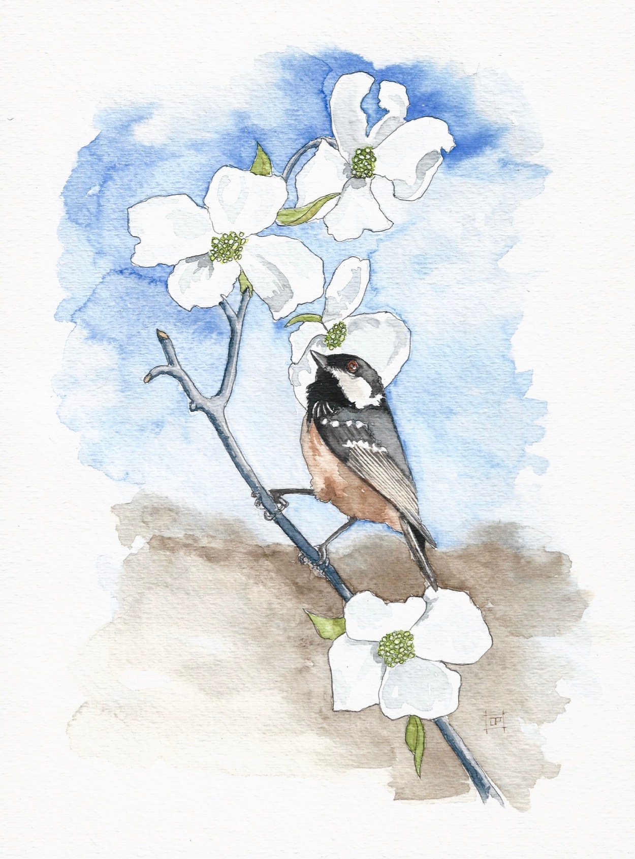 "Outside my Bedroom Window" by John Prudence