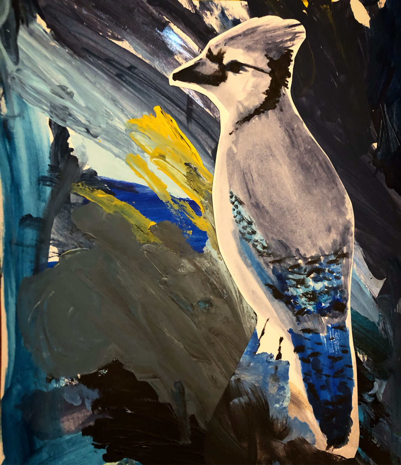 Blue Jay by Kari Pavlovich