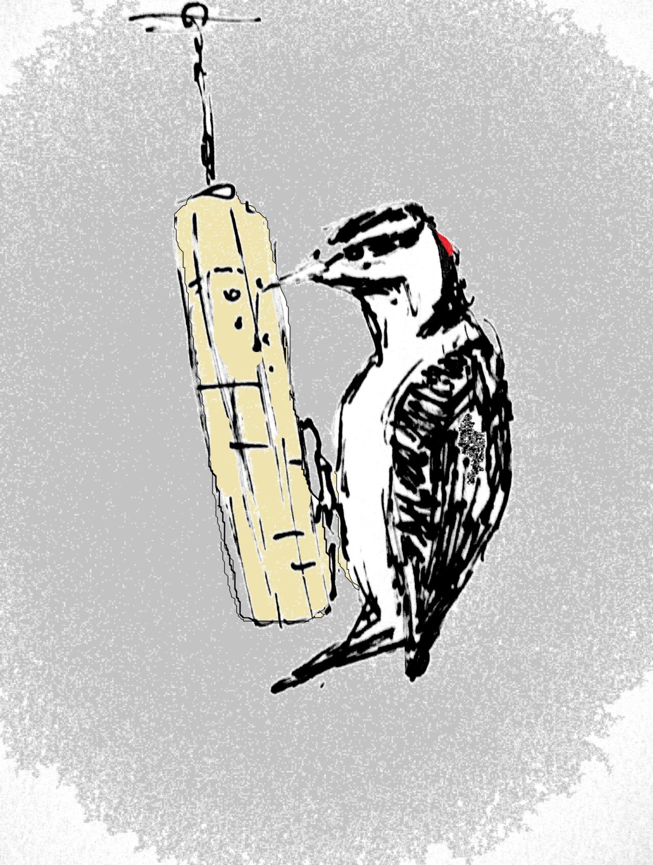 Woodpecker by Kathy Bowman