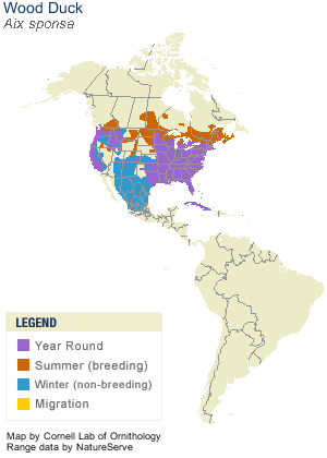 Image result for wood duck range map