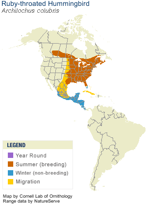 Ruby-throated Hummingbird Range Map