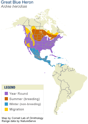 Great Blue Heron Range Map