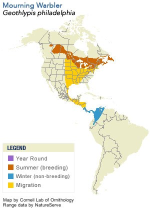 Mourning Warbler Range Map