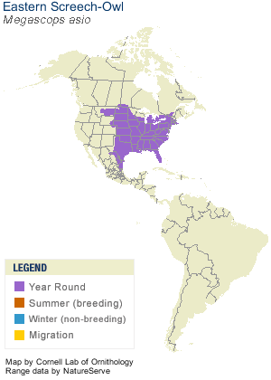 Range map of eastern screech-owl (linked from All About Birds website)